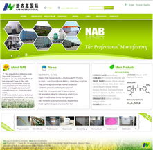 中硕网络 12年专业专注，精品网站建设引领企业数字化转型