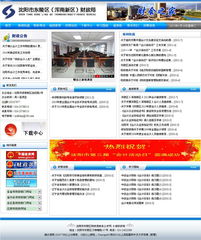 财政局网站建设指南 打造高效、便民、安全的政府财政门户