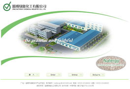案例展示 精品网站建设 集团网站建设 上市公司网站建设 活动官网建设 中硕网络 12年建站,专业专注